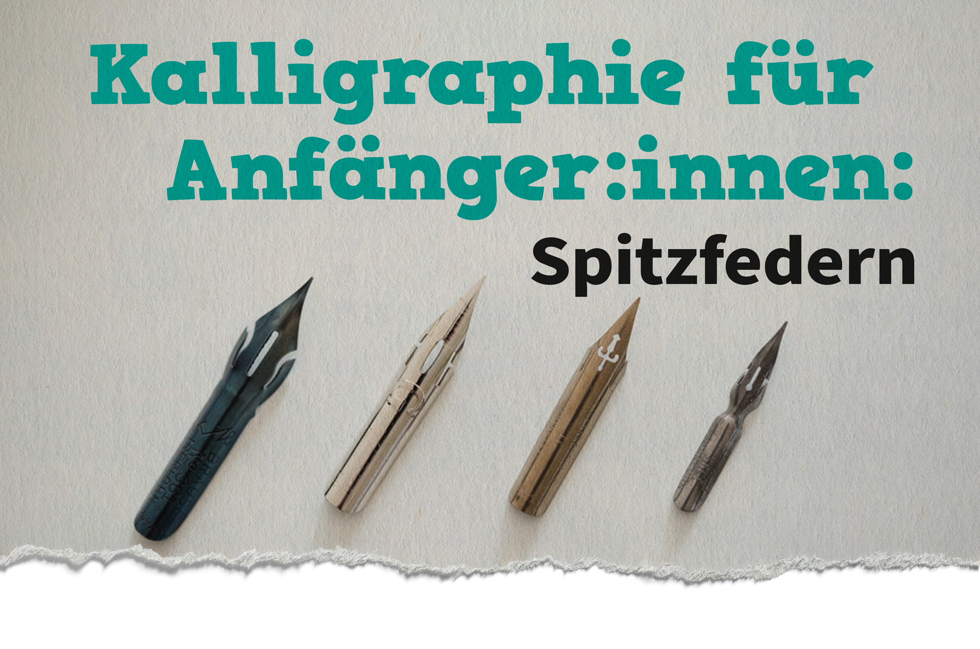 Kalligrafie Federn
